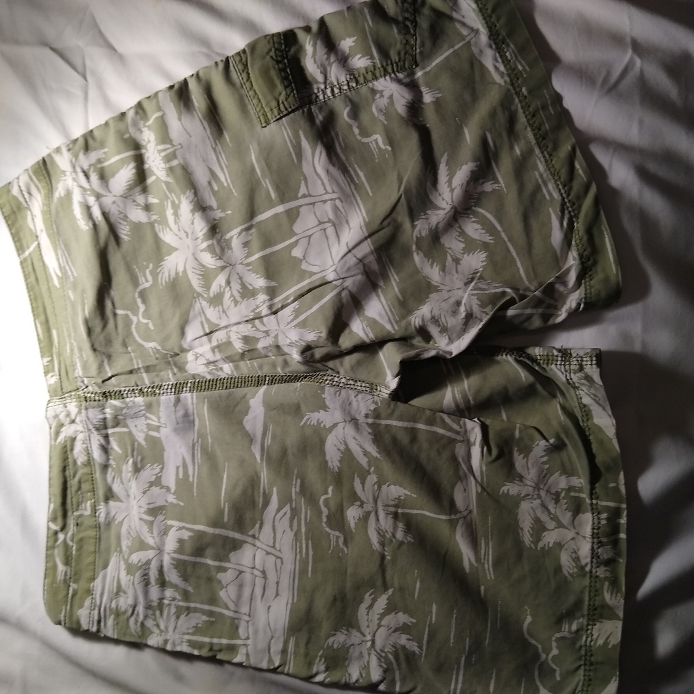 Honolua Men's Boardshorts 31W